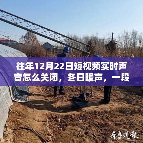 冬日暖聲,短視頻聲音調整與家的溫馨時刻,如何關閉實時聲音功能