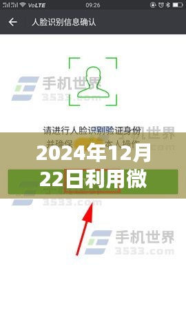 微信實時輸入數(shù)據(jù)庫操作指南,從初學者到進階用戶的全面指南(2024年12月22日更新)