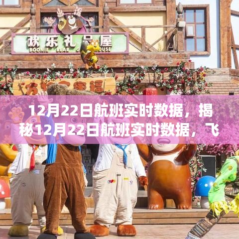 揭秘航班實(shí)時(shí)數(shù)據(jù),科技視角下的飛行之旅洞察(12月22日)