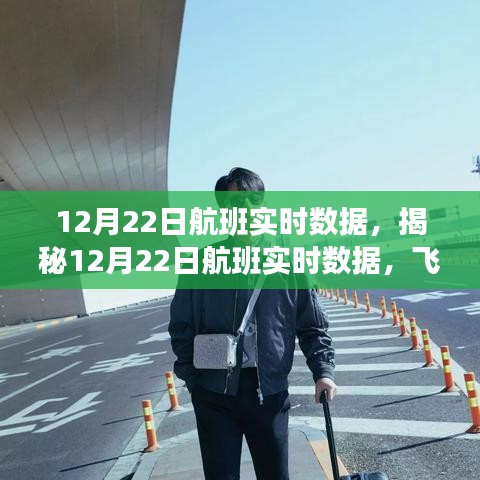 揭秘航班實時數據,科技視角下的飛行之旅洞察(12月22日)