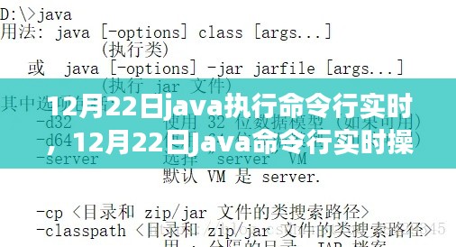 Java命令行實時操作指南,12月22日執(zhí)行指南
