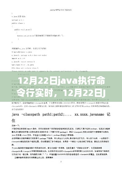Java命令行實時操作指南,12月22日執(zhí)行指南
