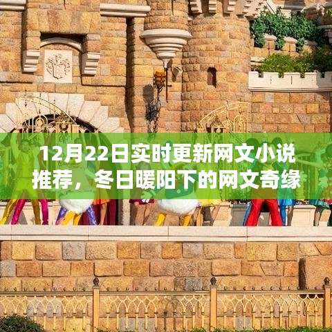 冬日暖陽下的溫馨網(wǎng)文奇緣,實(shí)時更新小說推薦