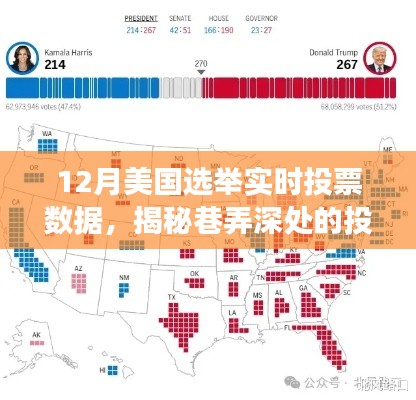 揭秘美國選舉風云,巷弄深處的投票數據寶藏親歷之旅