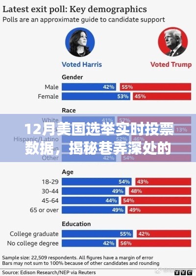 揭秘美國選舉風云,巷弄深處的投票數據寶藏親歷之旅