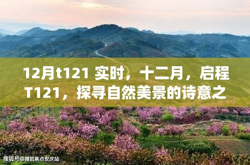 探尋自然美景的詩意之旅,啟程T121十二月實時記錄