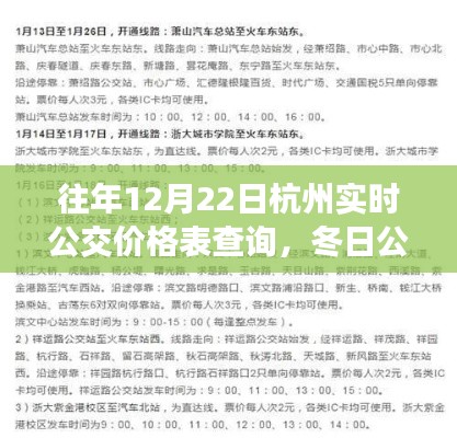 杭州冬日公交奇遇,實時公交價格表背后的暖心故事與歷年查詢匯總