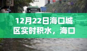 海口城區(qū)實(shí)時(shí)積水應(yīng)對(duì)指南,初學(xué)者與進(jìn)階用戶的必備指南(12月22日實(shí)時(shí)更新)