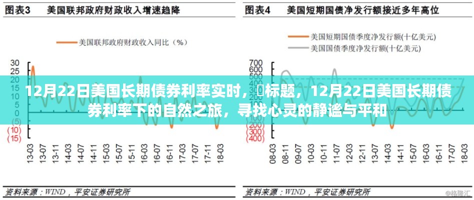 探尋心靈靜謐之旅,美國長期債券利率下的市場觀察與感悟(12月22日實時更新)