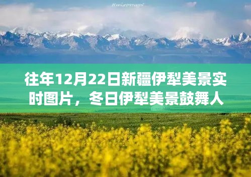 冬日伊犁美景鼓舞人心,學習之旅中的自信與成就感實時圖片展示