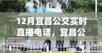 掌握出行信息必備,宜昌公交實時直播電話在線直播服務啟動