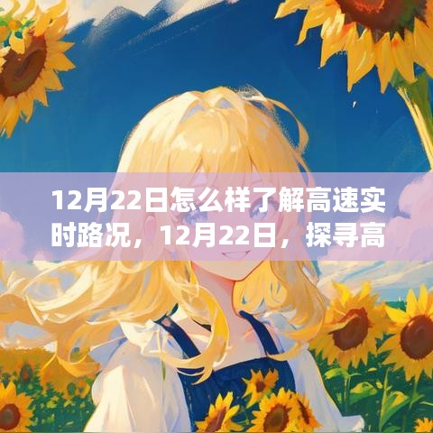 12月22日，探尋高速實時路況的洞察之旅，掌握實時路況信息！