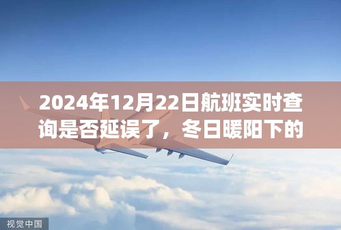 冬日暖陽下的飛行奇遇,航班延誤時光與好友共度