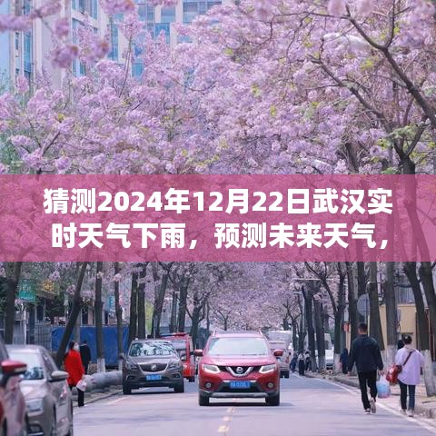 武漢未來天氣預(yù)測,揭秘如何準(zhǔn)確猜測2024年12月22日的實(shí)時(shí)下雨天氣
