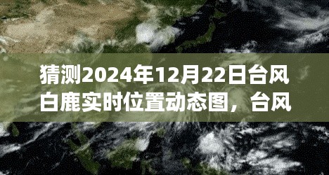 臺風白鹿來襲，冒險之旅中的自信閃耀與實時動態圖預測學習筆記
