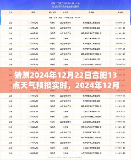 合肥天氣預報揭秘,多方觀點探析與個人立場關于合肥天氣實時猜想