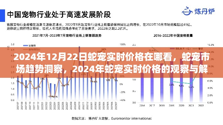 2024年蛇寵市場趨勢洞察,實時價格觀察與解讀