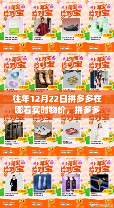 拼多多實時物價寶藏探索,探尋秘密角落的寶藏店