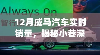 揭秘威馬汽車銷量背后的秘密故事，小巷深處的風景與隱藏式特色小店，實時銷量分析十二月篇