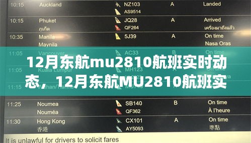 探索航班之旅,揭秘東航MU2810航班實時動態,航班細節一網打盡