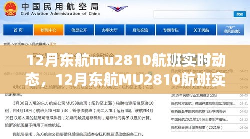 探索航班之旅,揭秘東航MU2810航班實時動態,航班細節一網打盡
