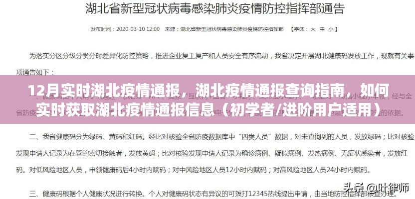 湖北疫情實時通報指南,初學(xué)者與進(jìn)階用戶查詢指南及獲取最新通報信息的方法