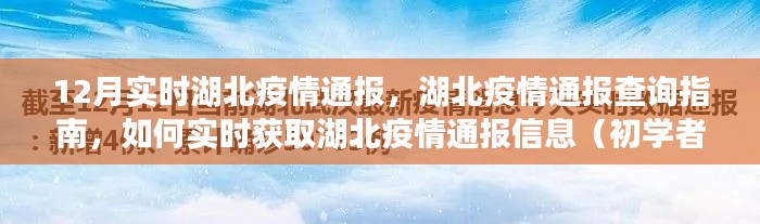 湖北疫情實時通報指南,初學(xué)者與進(jìn)階用戶查詢指南及獲取最新通報信息的方法