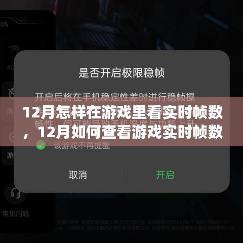 詳細步驟指南,如何查看游戲?qū)崟r幀數(shù)(適用于十二月)