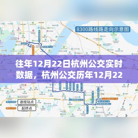 歷年12月22日杭州公交實時數(shù)據(jù)深度解析報告
