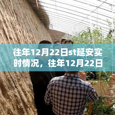 往年12月22日ST延安實時情況詳解,掌握攻略,輕松完成任務(wù)!