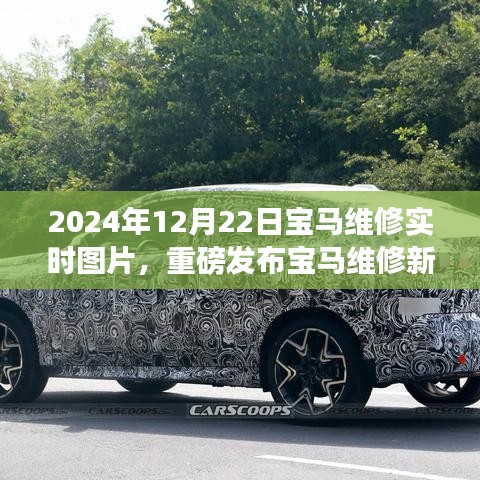 重磅發布,寶馬維修新紀元實時圖片體驗,領略高科技維修的魅力(附時間戳)