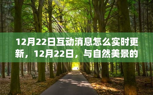 與自然美景的實時互動之旅,如何實時更新互動消息,追尋內心的寧靜與平和在12月22日