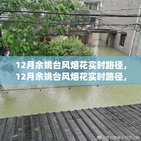 深度解析與前沿觀察,12月余姚臺(tái)風(fēng)煙花實(shí)時(shí)路徑追蹤