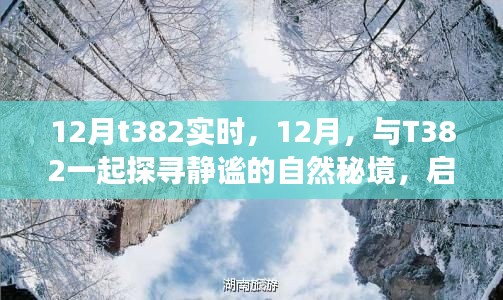 12月與T382共赴靜謐秘境的心靈之旅