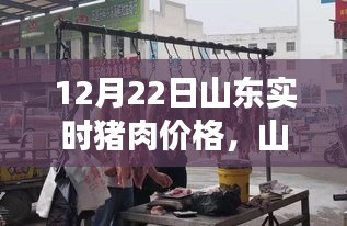 山東豬肉價格動態(tài),聚焦12月22日市場走勢分析