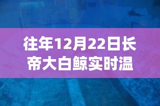 長帝大白鯨智能溫度計,實時溫度觸手可及,科技帶來生活溫暖