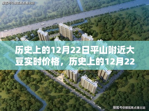 歷史上的12月22日平山附近大豆價格風云紀實,實時價格回顧與趨勢分析