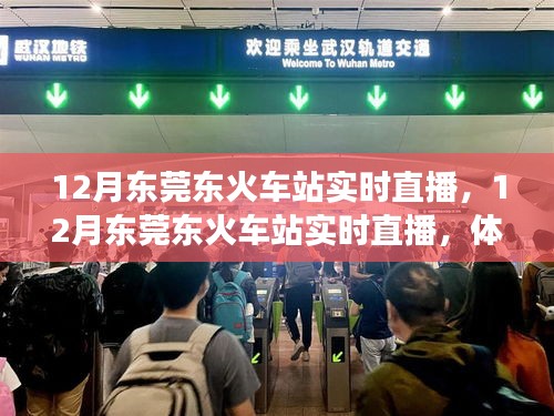 12月東莞東火車站實時直播,現代化交通樞紐的魅力展示