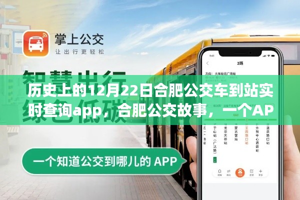 合肥公交APP的暖心之旅,實時查詢與公交故事的奇妙融合