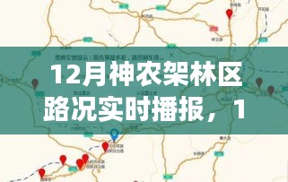 12月神農架林區路況實時播報,多方觀點下的道路狀況深度解析與個人體驗分享