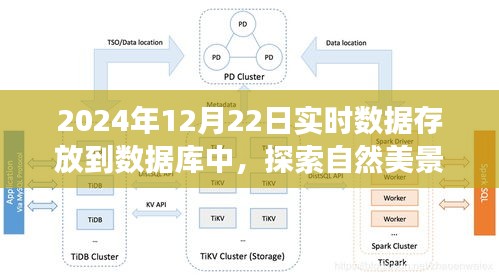 詩意之旅,探索自然美景與數據的和諧共存,寧靜中記錄時光印記至數據庫