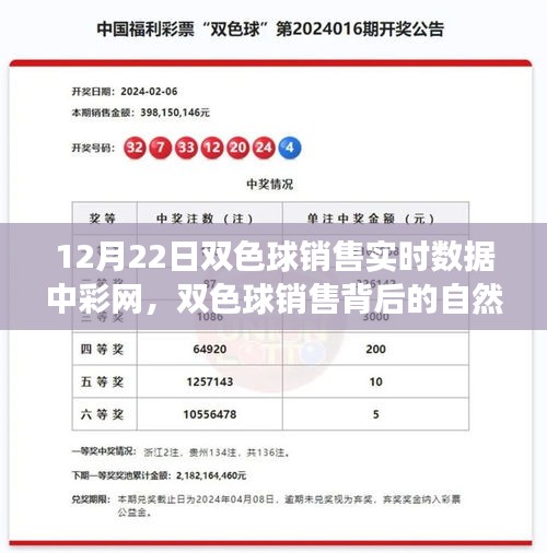 探索雙色球銷售背后的自然之旅,內心平靜的奇妙旅程揭秘(實時數據解析)