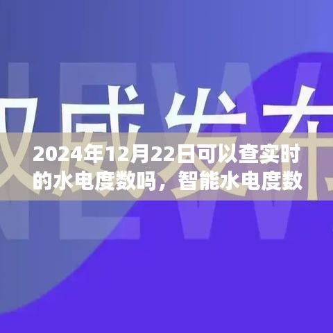 智能水電度數實時監測體驗報告，2024年12月22日實時水電度數查詢體驗