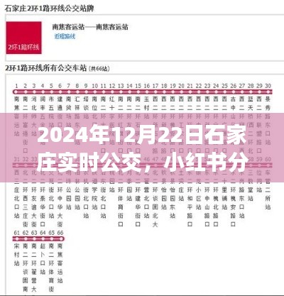 揭秘石家莊2024年實時公交系統,便捷出行,小紅書實時分享