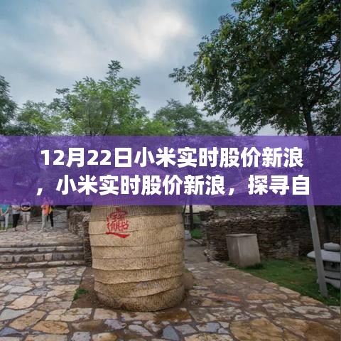 探尋自然美景之旅