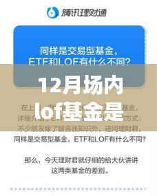 實(shí)時(shí)掌控新時(shí)代,12月場內(nèi)LOF基金的科技領(lǐng)航之旅