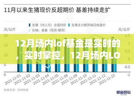 實(shí)時(shí)掌控新時(shí)代,12月場內(nèi)LOF基金的科技領(lǐng)航之旅