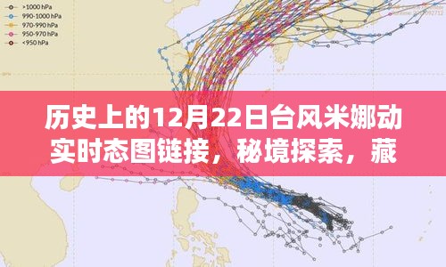 臺風米娜動態追蹤與秘境探索,巷陌特色小店奇妙邂逅