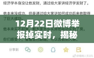 揭秘微博舉報失效事件,網絡監管面臨實時動態挑戰,12月22日微博遭遇監管風波