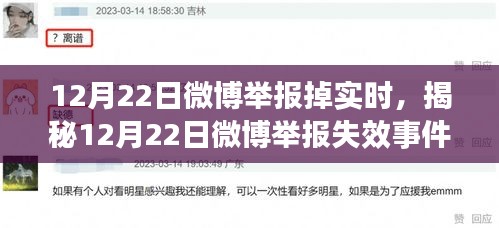 揭秘微博舉報失效事件,網絡監管面臨實時動態挑戰,12月22日微博遭遇監管風波